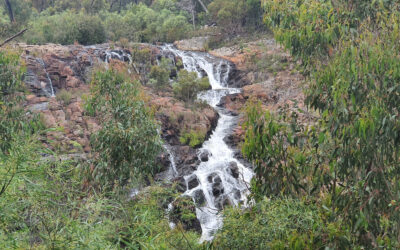 Where to find amazing waterfalls in Victoria